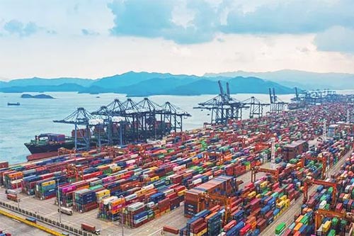 鹽田清理堆積集裝箱需1-3月！